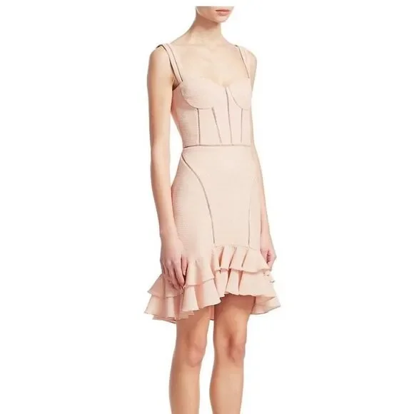 NWT. $795 Jonathan Simkhai Bustier Mini Dress Size 0 pink